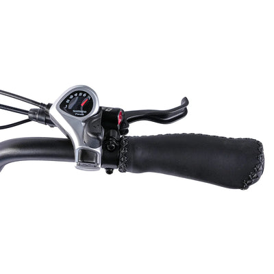 XDS E-Vibe eBike 500 Watts Motor 6 Months Free Service