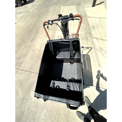 Veloz Electric Cargo Trike 500W Motor 200 Kilos weight load 6 Months Free Service