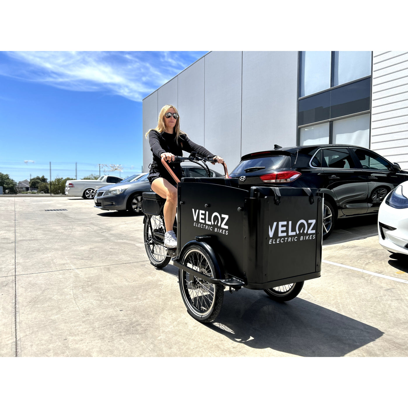 Veloz Electric Cargo Trike 500W Motor 200 Kilos weight load 6 Months Free Service