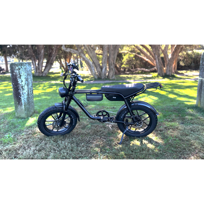 Mamba Sahara 2024 Model with GPS Included 750W 48V17AH Battery 6 months free service