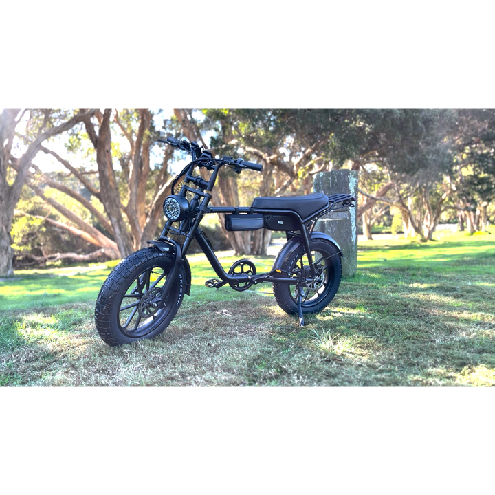Sahara electric bike price hot sale