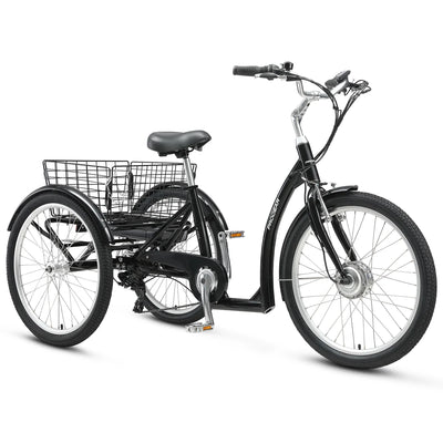 Progear E-Free 24" E-Trike 6 Months Free Service