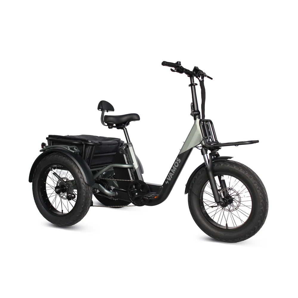 Vamos Electric Trike Bicycle PAPA GRANDE PRO 6 Months Free Service