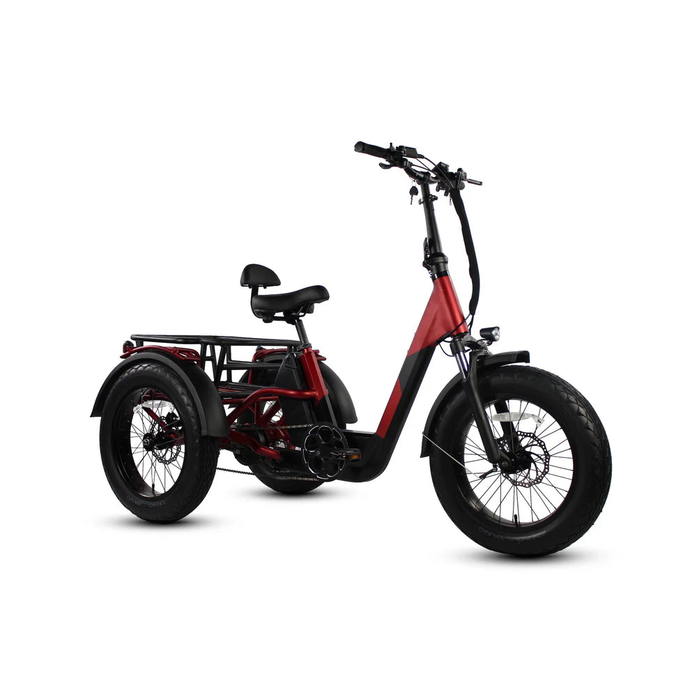 Vamos Electric Trike Bicycle PAPA GRANDE PRO 6 Months Free Service