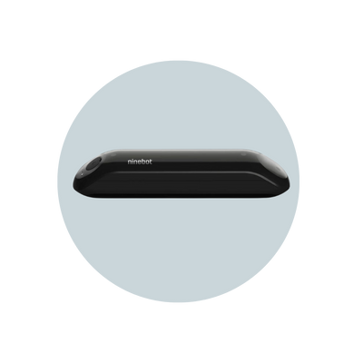 Segway Ninebot E22 Battery