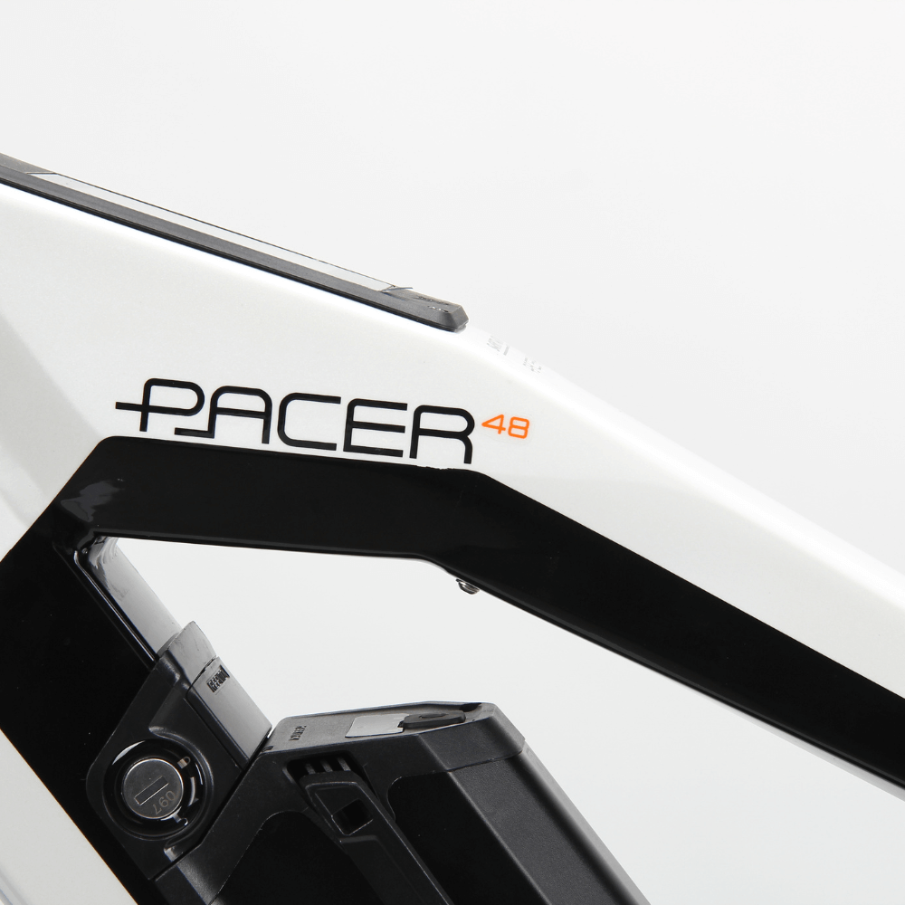 Smartmotion Pacer 250W 48V - EOzzie Electric Vehicles