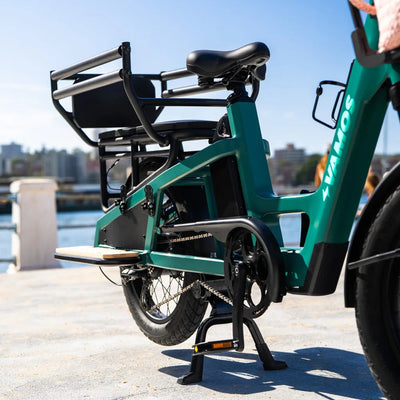 Amigo Plus 2025 - All-Purpose Passenger Commuter E-Bike