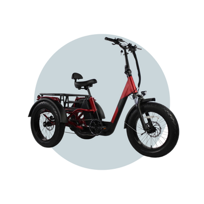 Vamos Electric Trike Bicycle PAPA GRANDE PRO 6 Months Free Service