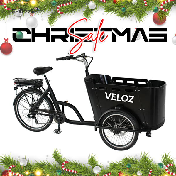 Veloz Electric Cargo Trike 350W Motor 200 Kilos weight load 6 Months Free Service