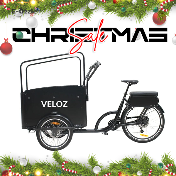 Veloz Electric Cargo Trike 500W Motor 200 Kilos weight load 6 Months Free Service