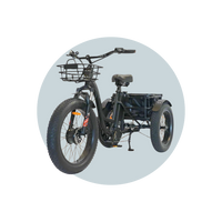 Veloz Grand-Prix Electric Trike Bike 500-750W Motor 120 Km Autonomy 20Ah Samsung Battery 150+ Kilos weight load 6 Months Free Service