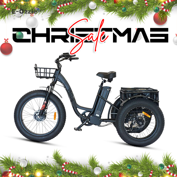 Veloz Grand-Prix Electric Trike Bike 500-750W Motor 120 Km Autonomy 20Ah Samsung Battery 150+ Kilos weight load 6 Months Free Service