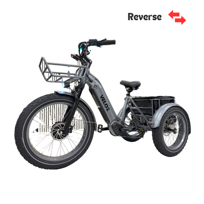 Veloz VOLTZILA Electric Trike Bike 500-750W Motor 150 Km Autonomy 20Ah Samsung Battery 200+ Kilos weight load 6 Months Free Service