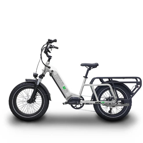 Benzina Zero HAULeR Electric Bike