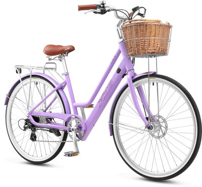 XDS E-Conic S2 eBike 6 Months Free Service