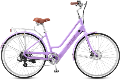 XDS E-Conic S2 eBike 6 Months Free Service