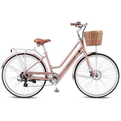 XDS E-Conic S2 eBike 6 Months Free Service