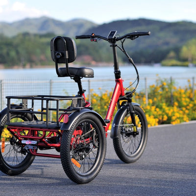 Karda Bungarra eTrike With Reverse 250W Motor Legal Street 6 Months Free Service