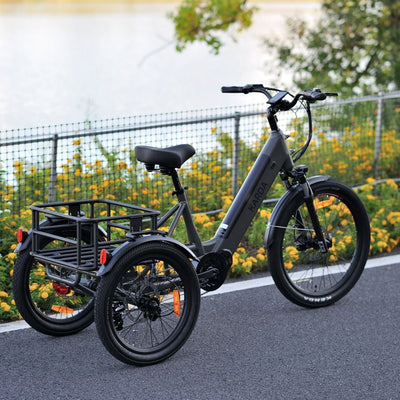 Karda Komodo eTrike with Reverse 250W Mid-Drive 6 Months Free Service