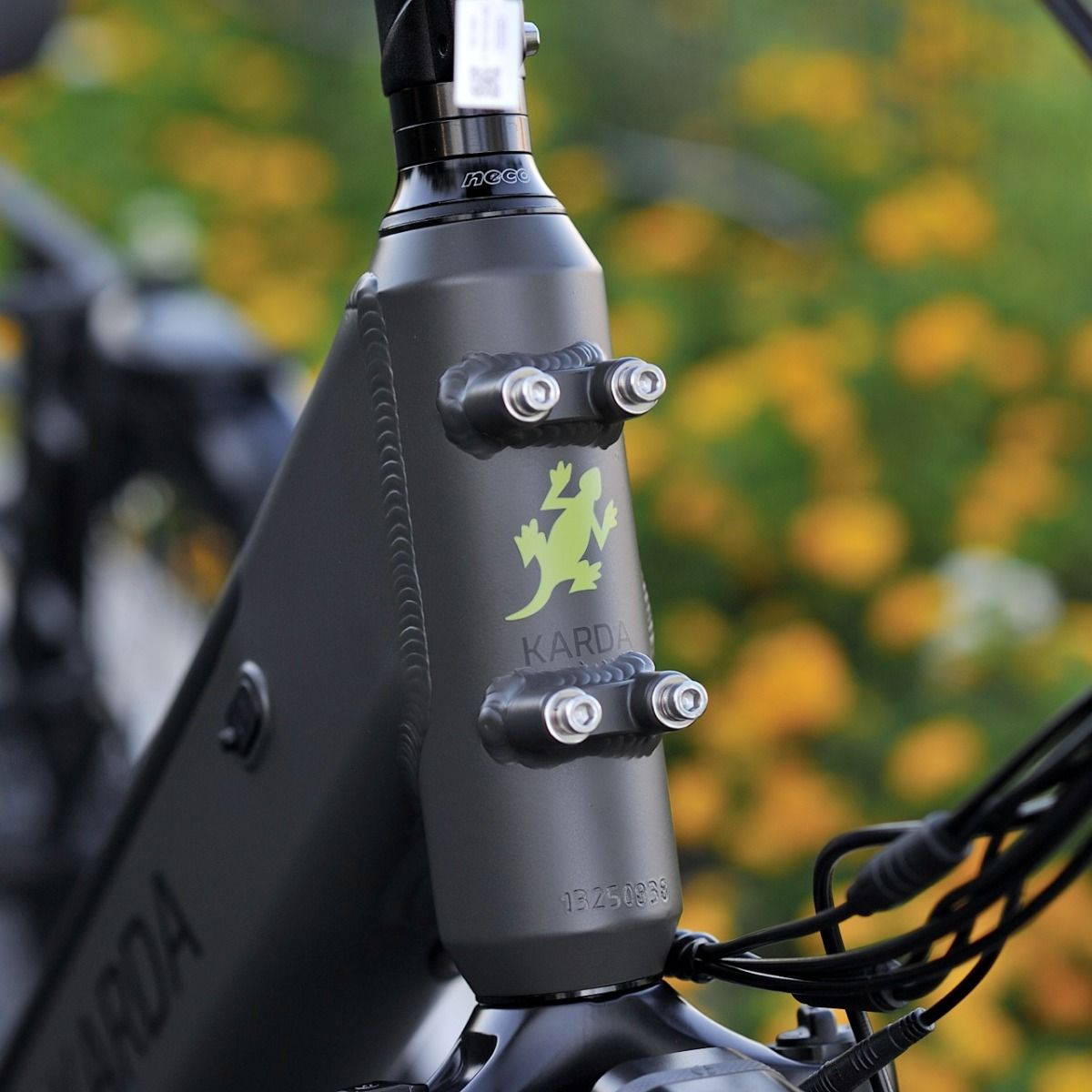 Karda Komodo eTrike with Reverse 250W Mid-Drive 6 Months Free Service