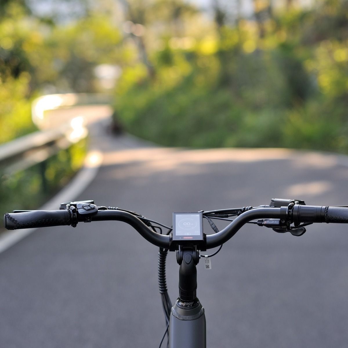 Karda Komodo eTrike with Reverse 250W Mid-Drive 6 Months Free Service