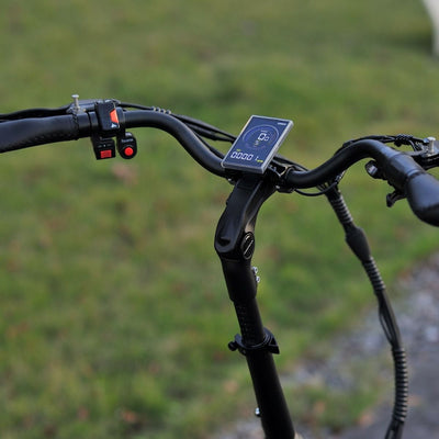 Karda Skink eTrike with Reverse  Low-Step Wide Seat  6 Months Free Service