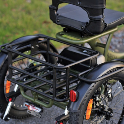 Karda Skink eTrike with Reverse  Low-Step Wide Seat  6 Months Free Service