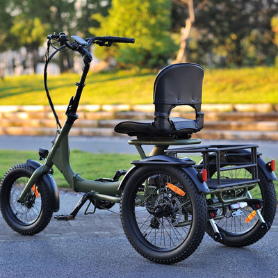 Karda Skink eTrike with Reverse  Low-Step Wide Seat  6 Months Free Service
