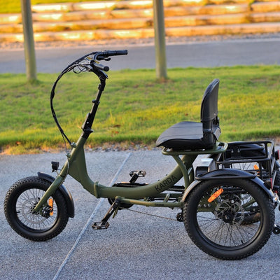 Karda Skink eTrike with Reverse  Low-Step Wide Seat  6 Months Free Service