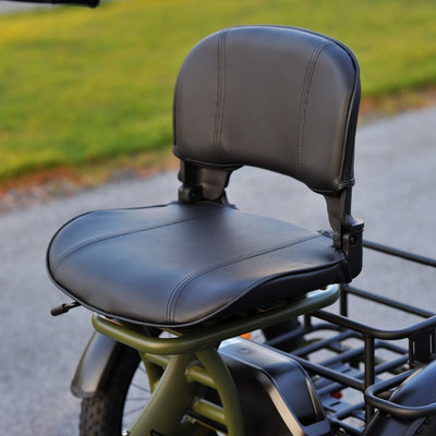 Karda Skink eTrike with Reverse  Low-Step Wide Seat  6 Months Free Service