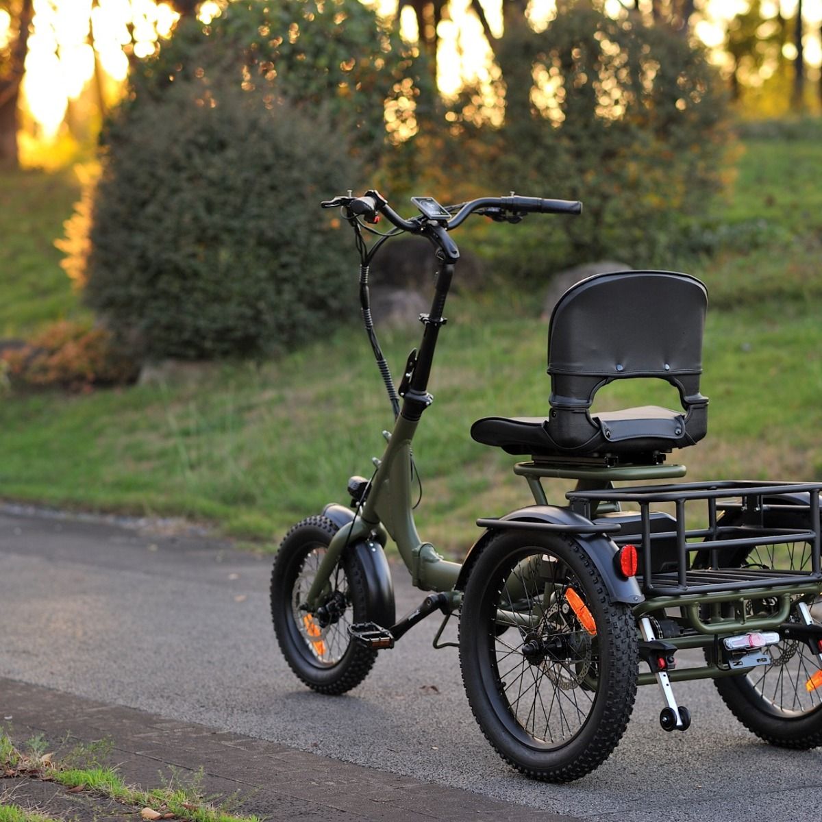 Karda Skink eTrike with Reverse  Low-Step Wide Seat  6 Months Free Service