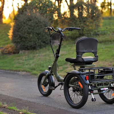 Karda Skink eTrike with Reverse  Low-Step Wide Seat  6 Months Free Service