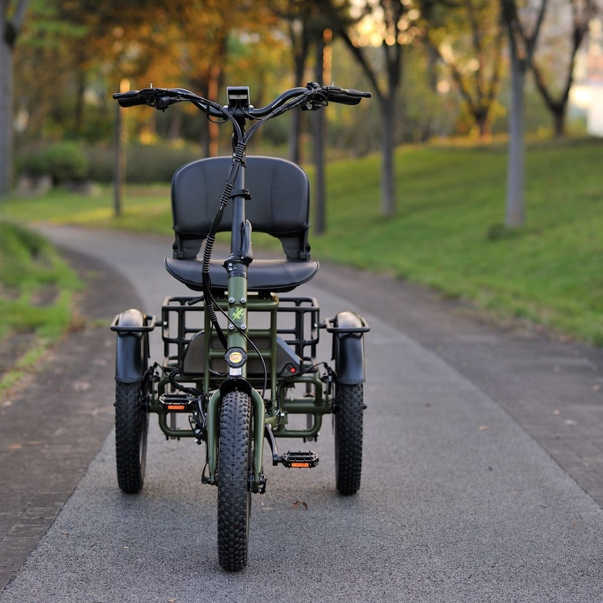 Karda Skink eTrike with Reverse  Low-Step Wide Seat  6 Months Free Service