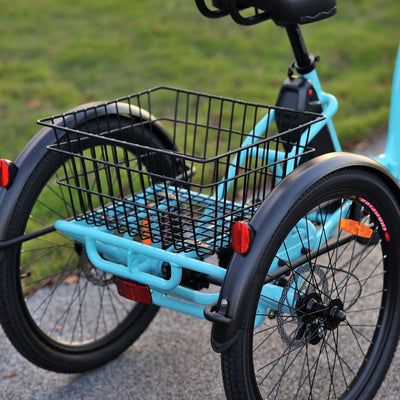 Karda Gekko eTrike with Reverse 250W Motor 6 Months Free Service