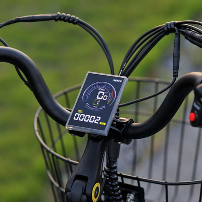 Karda Gekko eTrike with Reverse 250W Motor 6 Months Free Service