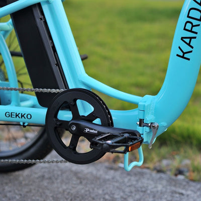 Karda Gekko eTrike with Reverse 250W Motor 6 Months Free Service