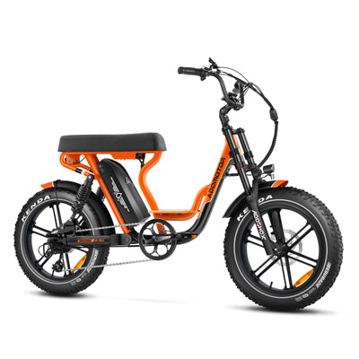 AddMotor Soletan M-66X Electric Bike 750W Samsung Battery 6 Months Free Service