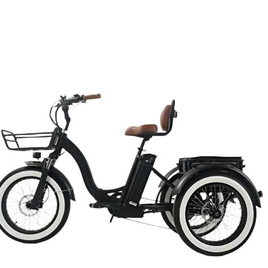 Veloz Grand-Prix Electric Trike Bike 500-750W Motor 120 Km Autonomy 20Ah Samsung Battery 150+ Kilos weight load 6 Months Free Service