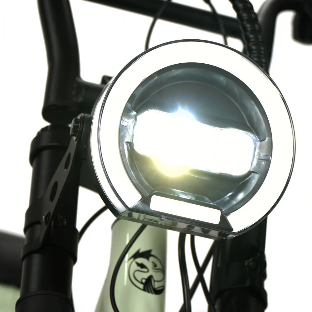 Limited Edition Fatfish Vice Fat Tyre E-Bike - EOzzie Electric Vehicles