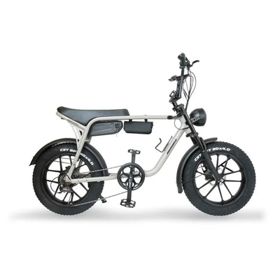 Mamba Sahara 2024 Model with GPS Included 750W 48V17AH Battery 6 months free service