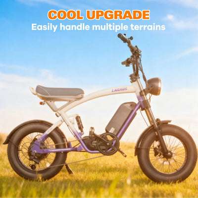 CityBeast eBike All-Terrain Bike 1000W 48V18.2AH Battery 6 Months Free Service