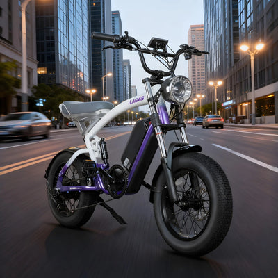 CityBeast eBike All-Terrain Bike 1000W 48V18.2AH Battery 6 Months Free Service