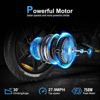 Lagads Tempest V20Pro eBike 750W 15.6Ah Battery 6 Months Free Service