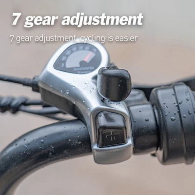 Lagads Falcon H9 eBike Hydraulic Brake 48V 15Ah Battery 6 Months Free Service