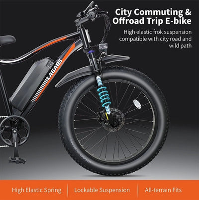 Lagads Thunder B6 eBike 1000W Fat Wheel 48v14.5Ah 6 Months Free Service