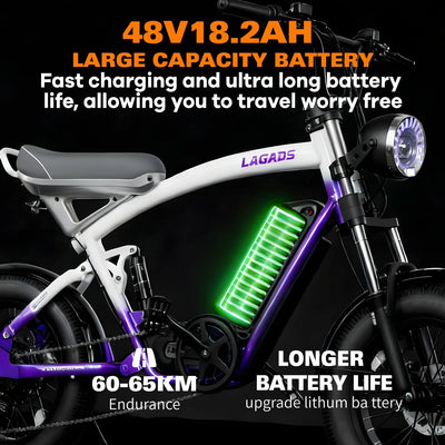 CityBeast eBike All-Terrain Bike 1000W 48V18.2AH Battery 6 Months Free Service