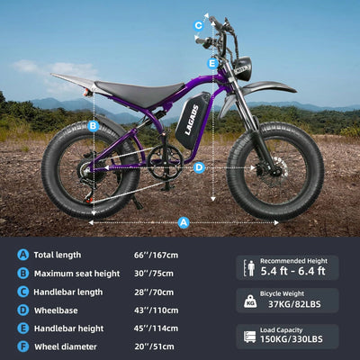 Lagads Storm JD20 Ebike 1500W 48V18Ah Battery 6 Months Free Service