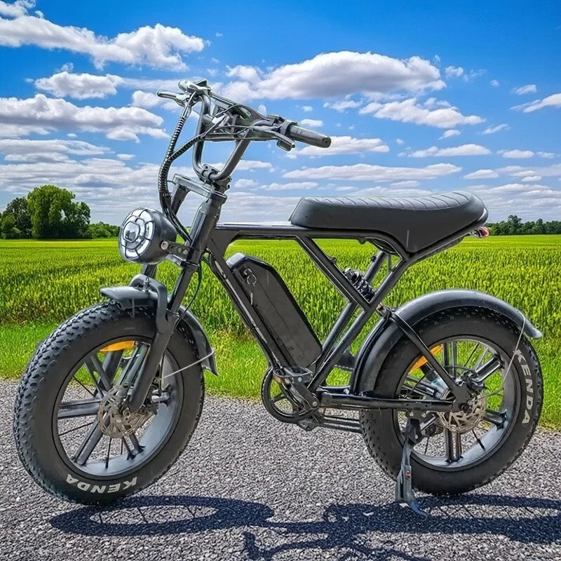 Lagads Falcon H9 eBike Hydraulic Brake 48V 15Ah Battery 6 Months Free Service