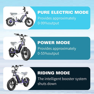 CityBeast eBike All-Terrain Bike 1000W 48V18.2AH Battery 6 Months Free Service