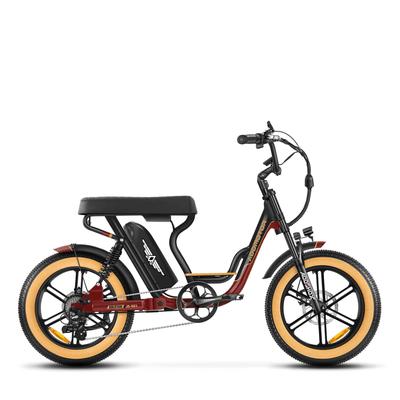 AddMotor Soletan M-66X Electric Bike 750W Samsung Battery 6 Months Free Service